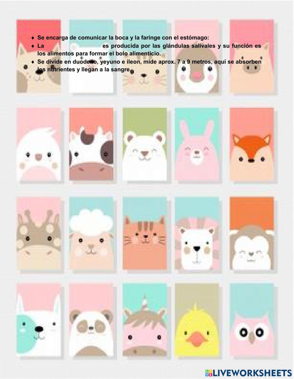 Nutrición de los animales