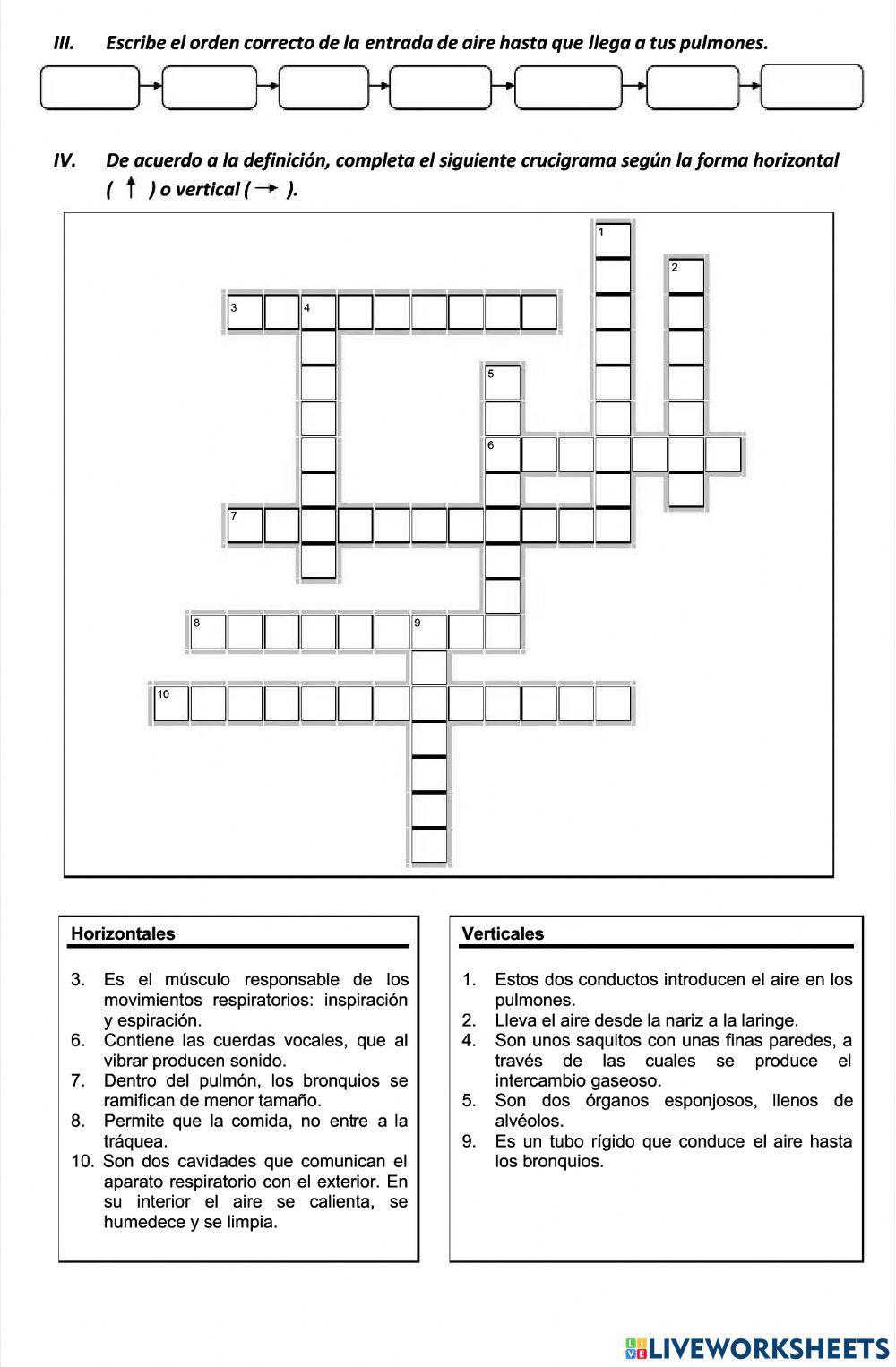 La respiracion hhumana