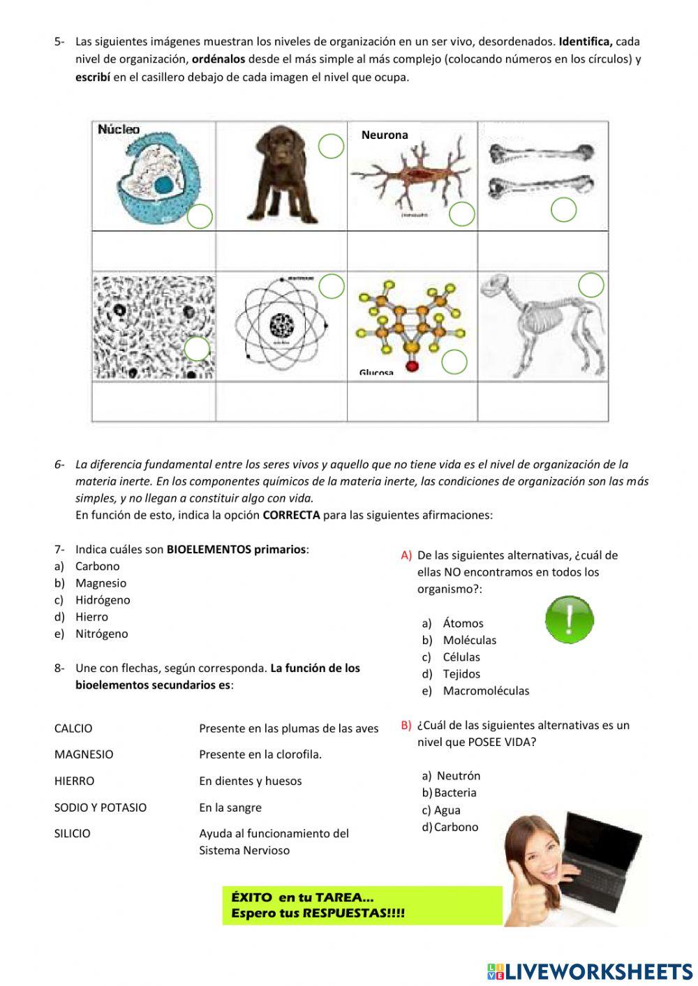 Características de los seres vivos