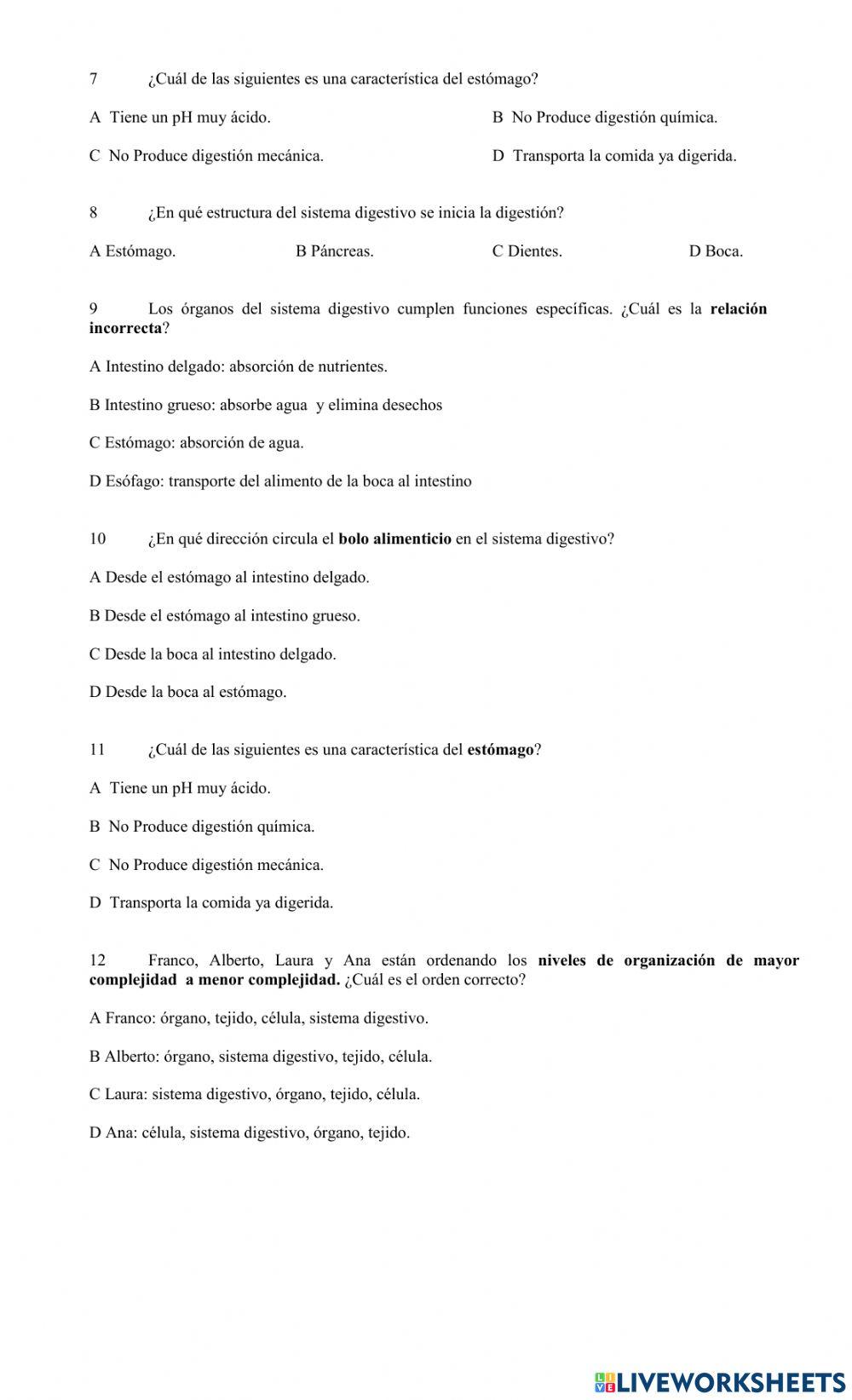 Ficha Sistema Digestivo