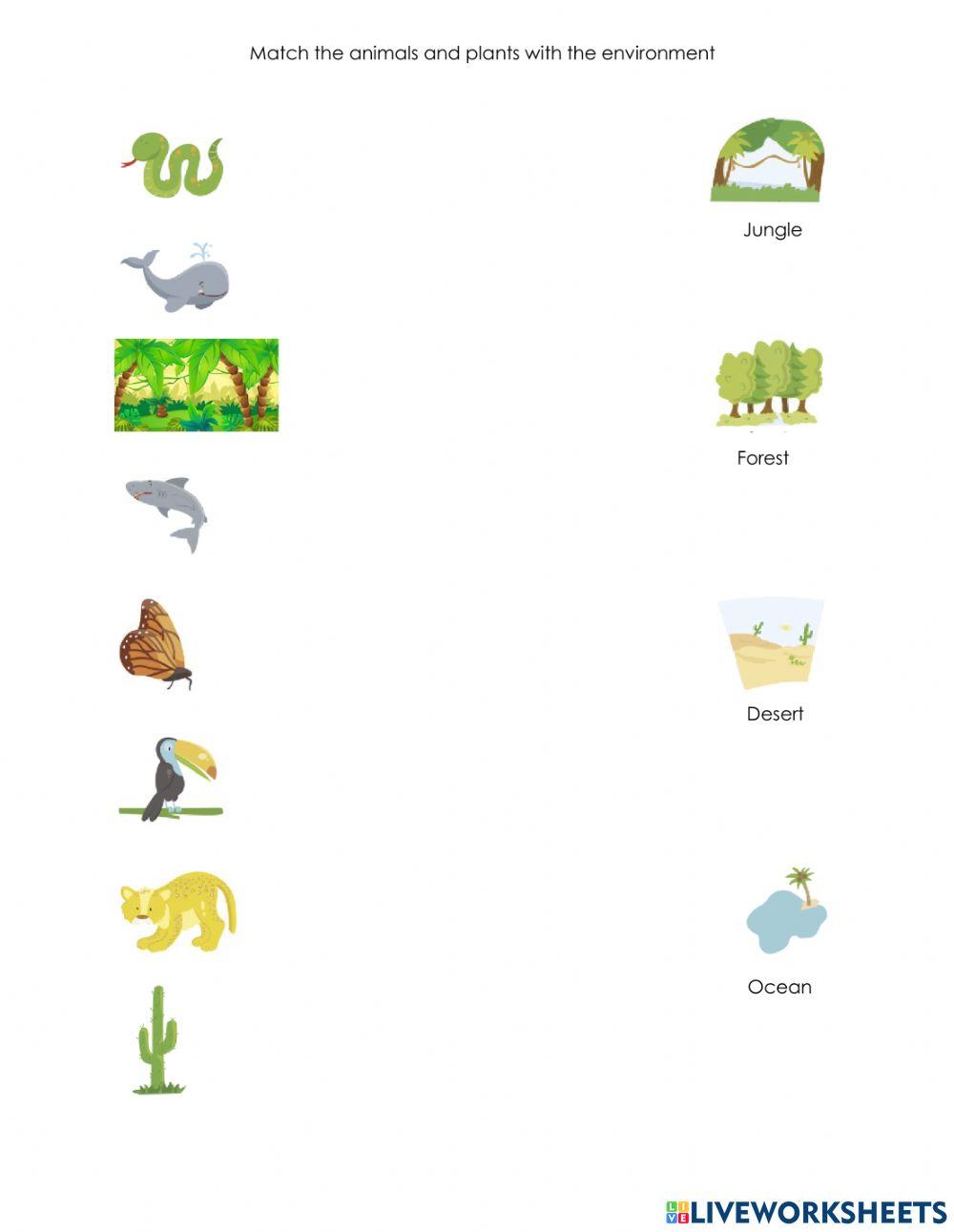 1034228 Flora And Fauna Diana Ayala LiveWorksheets 1034228-flora-and-fauna-diana-ayala-liveworksheets
