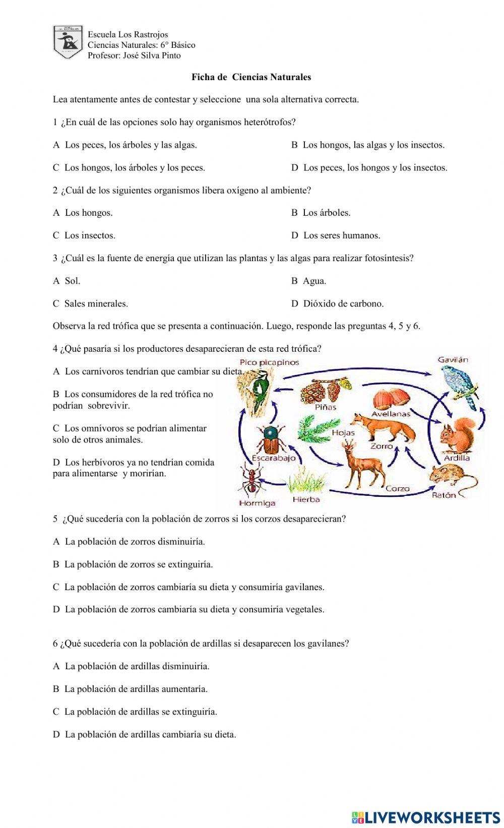 Ficha Trama Alimentaria