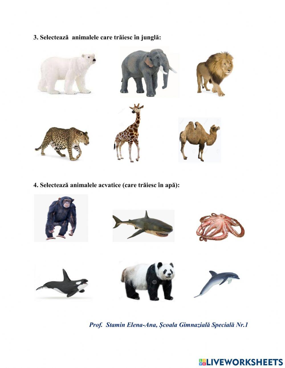 Animale sălbatice din alte țări