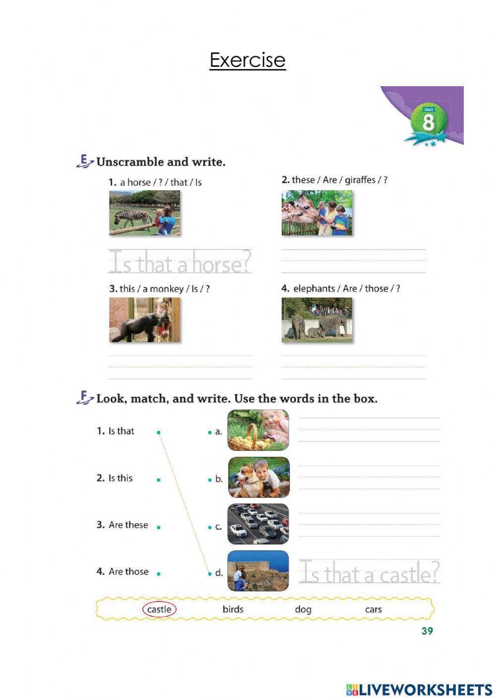 Exercise Grammar worksheet | Live Worksheets