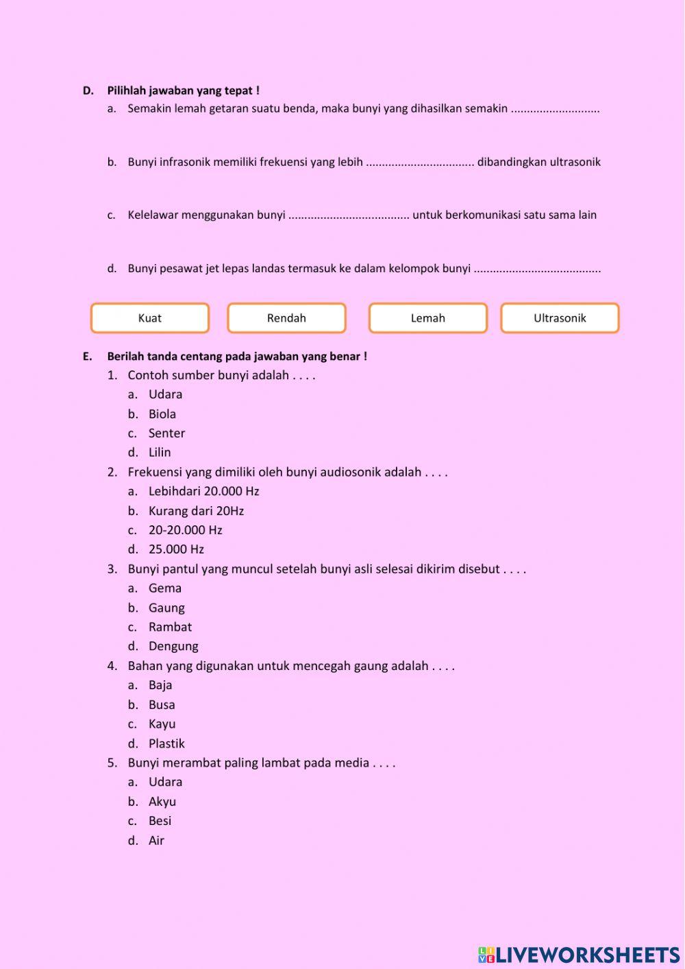 Bunyi dan Pendengaran