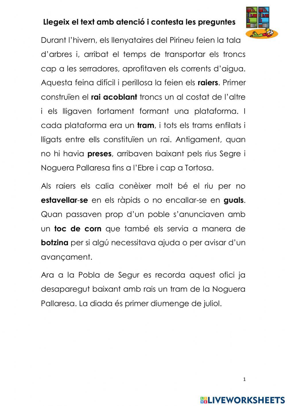 Comprensió text nº 5