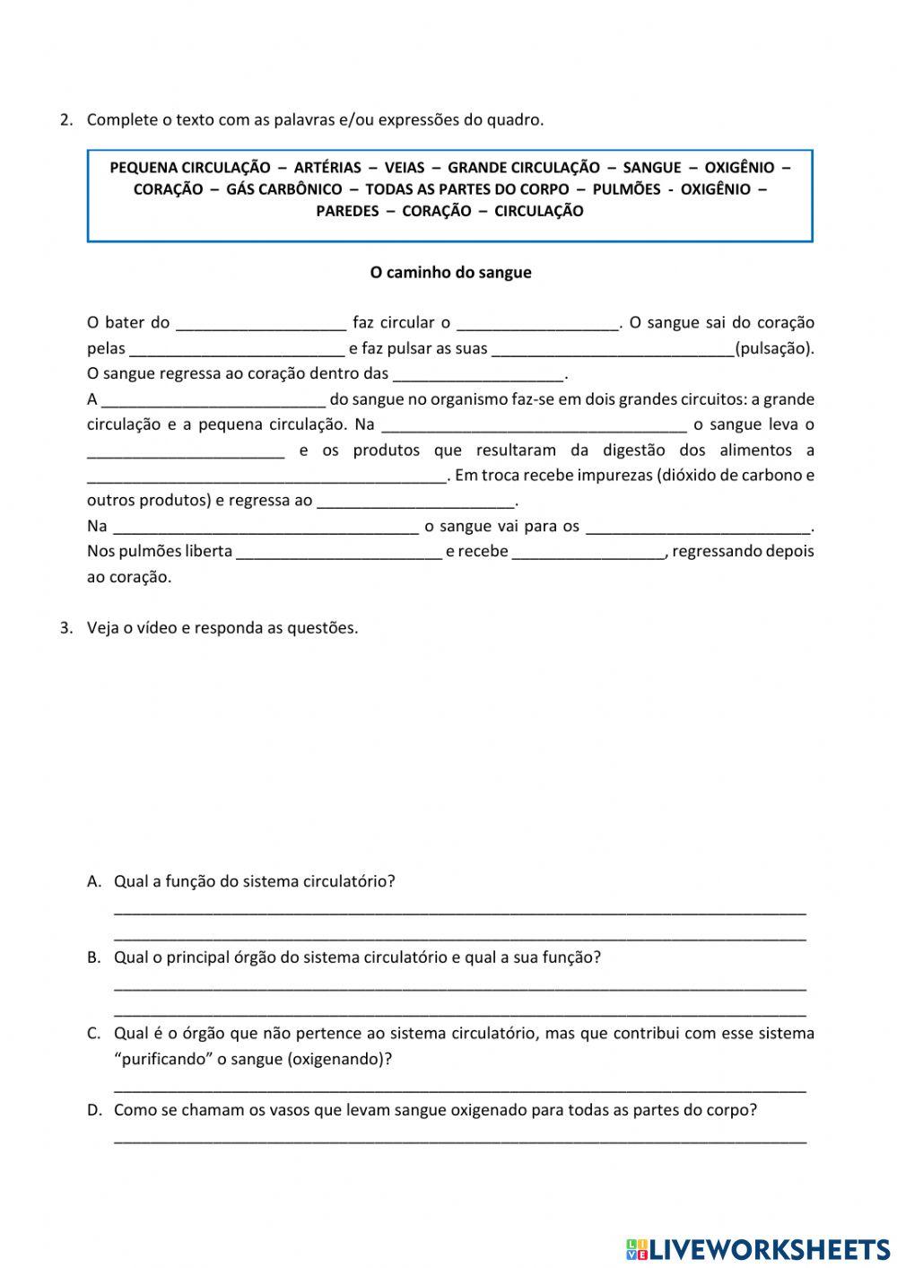 Sistema circulatório