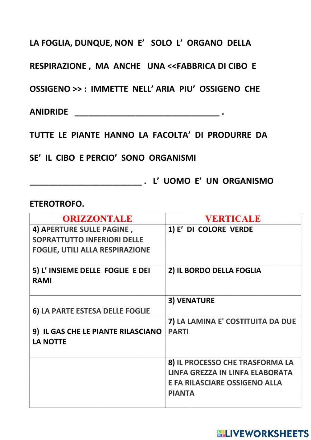 La fotosintesi clorofilliana