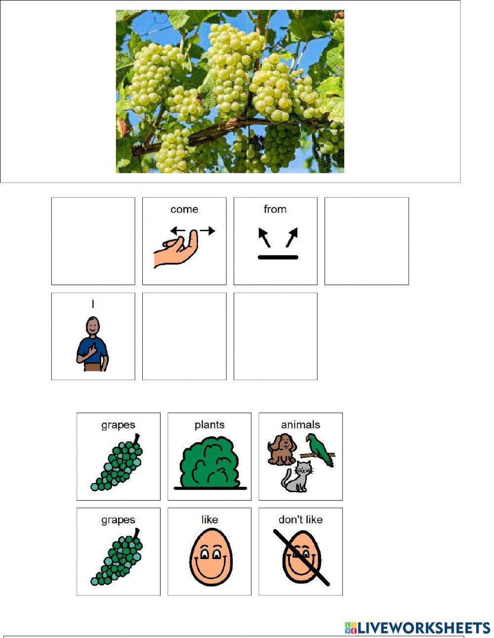 Food From plants and animals Food From plants and animals