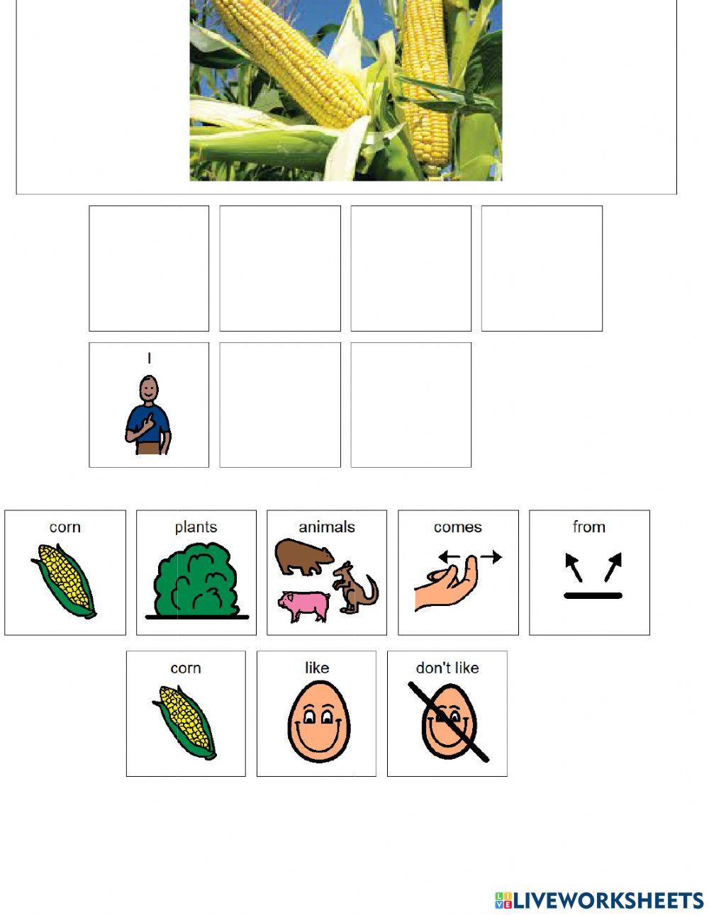 Food From plants and animals Food From plants and animals