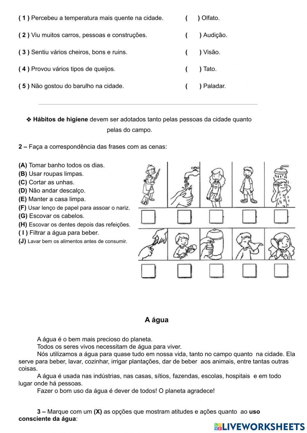 Consolidação 3º Ano Parte II