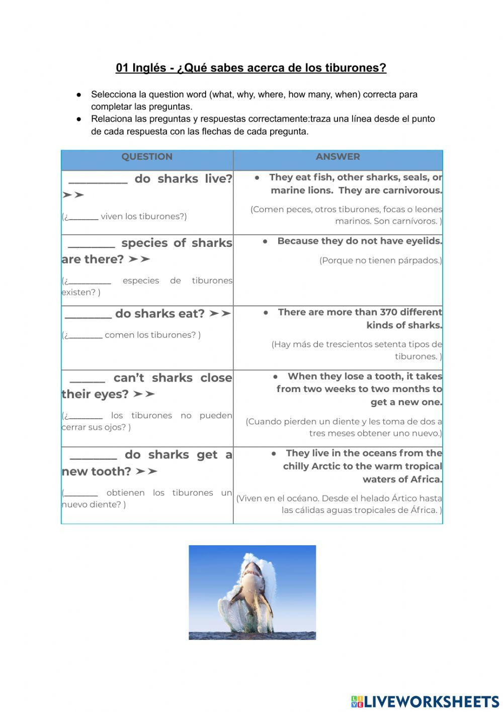 01 Inglés - ¿Qué sabes acerca de los tiburones?