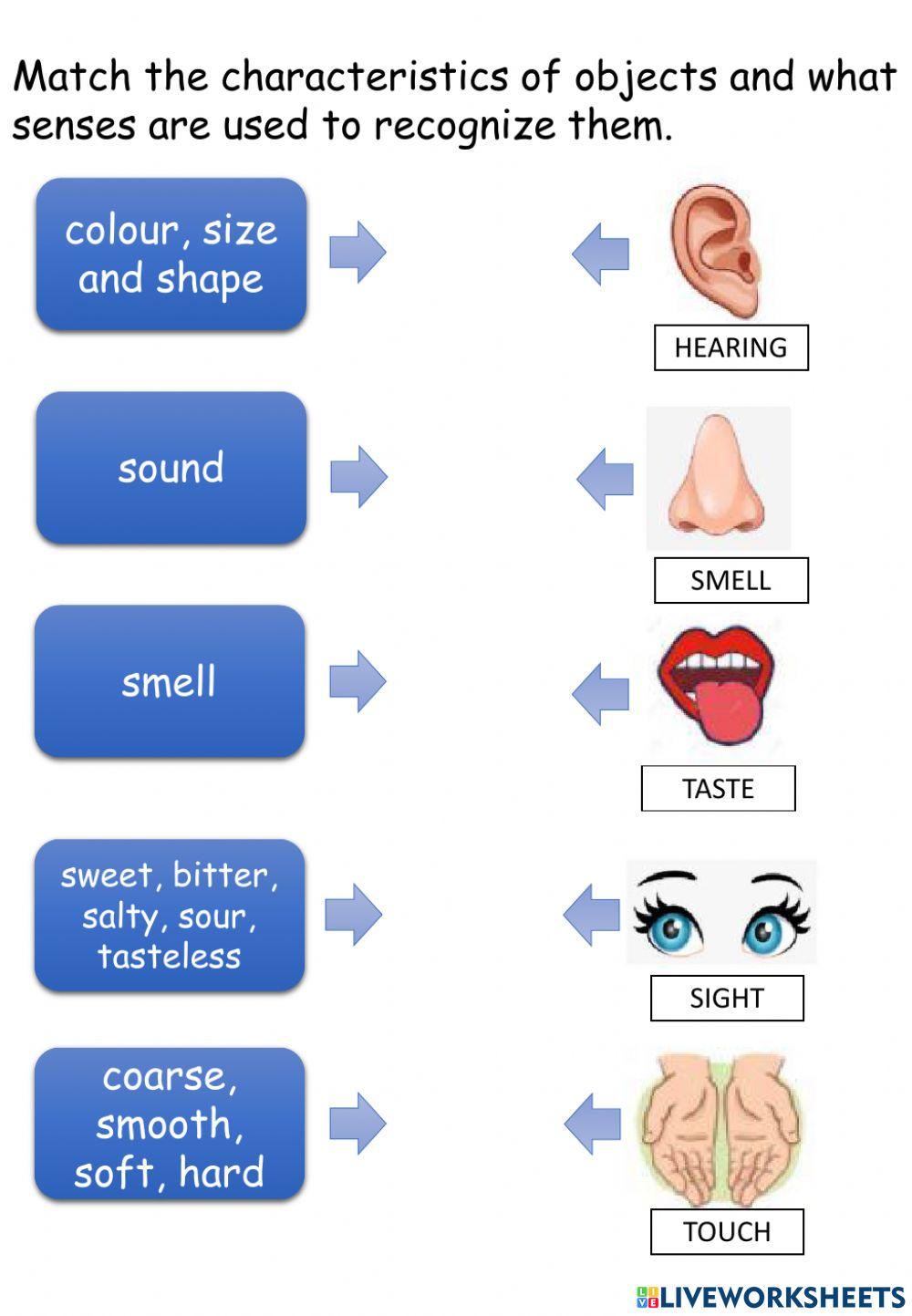 Characteristics of objects and what senses are used to recognize them