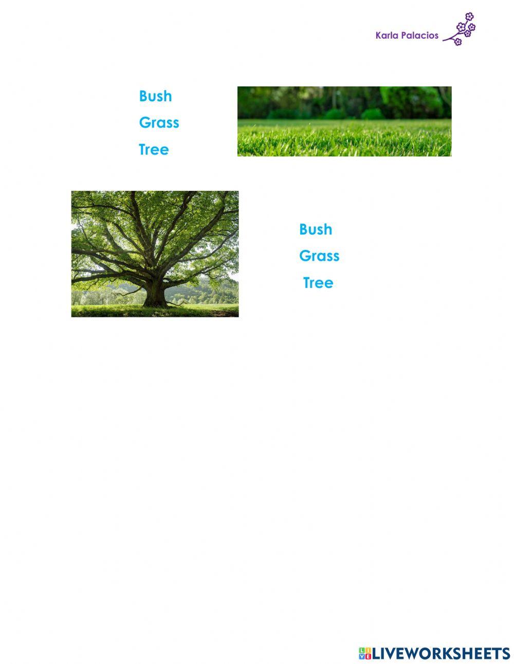 Plants - reinforcement