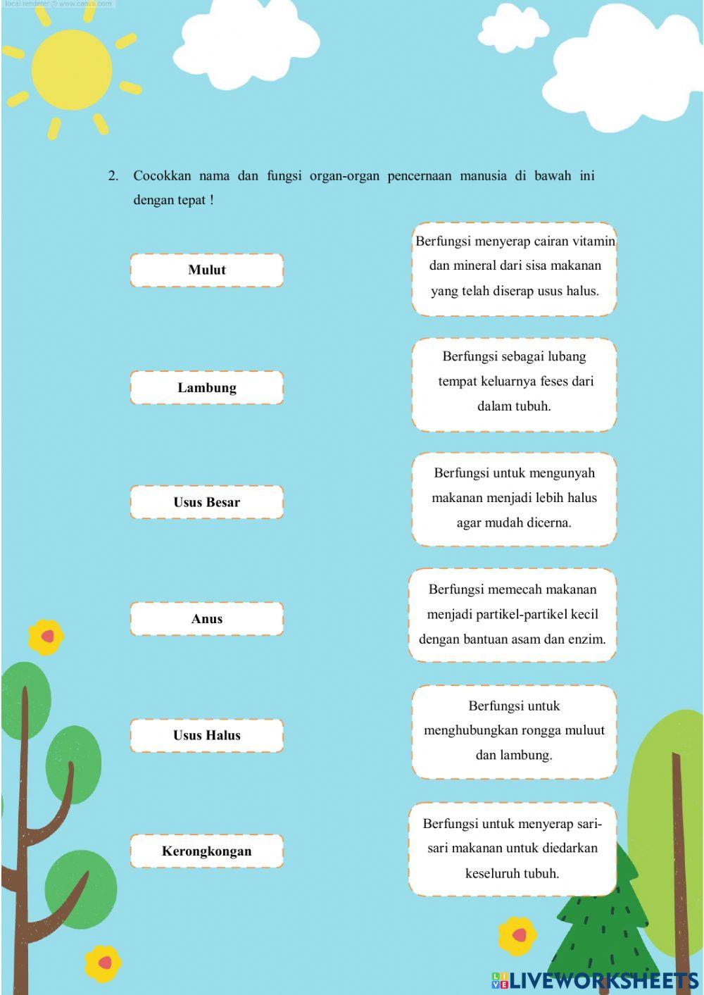 LKPD Sistem Pencernaan Manusia