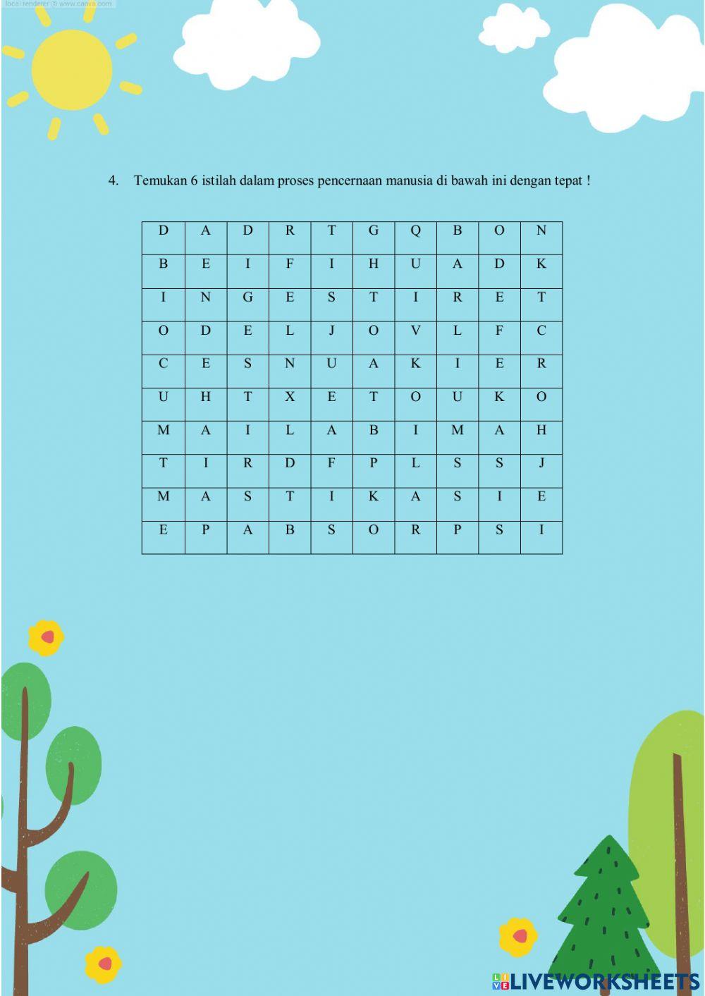 LKPD Sistem Pencernaan Manusia