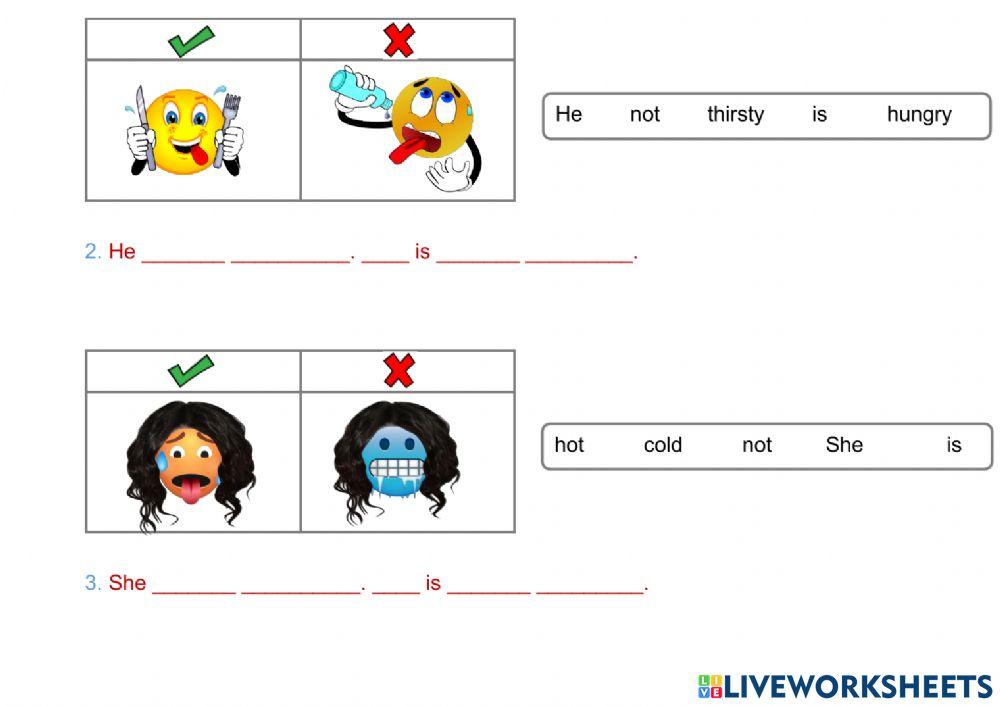 Feelings 3rd-affirmative-negative statements and questions with short answers