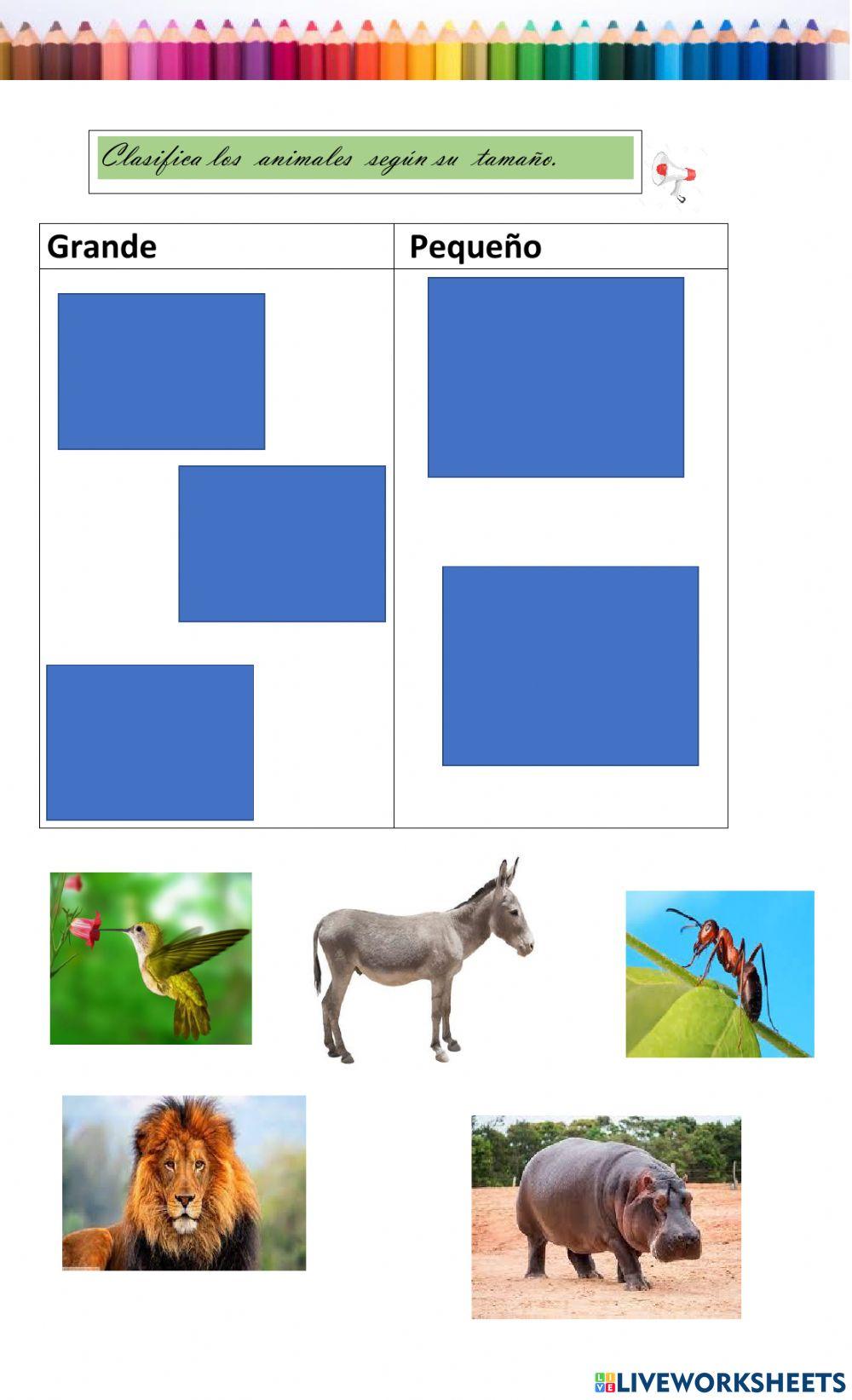 Movilización de los animales