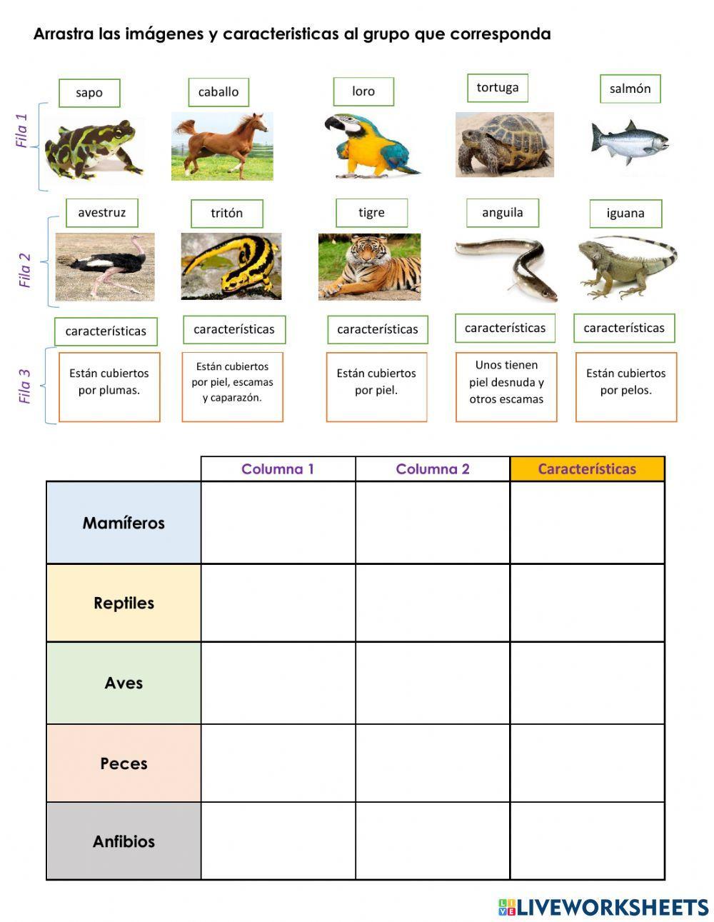 Animales Vertebrados