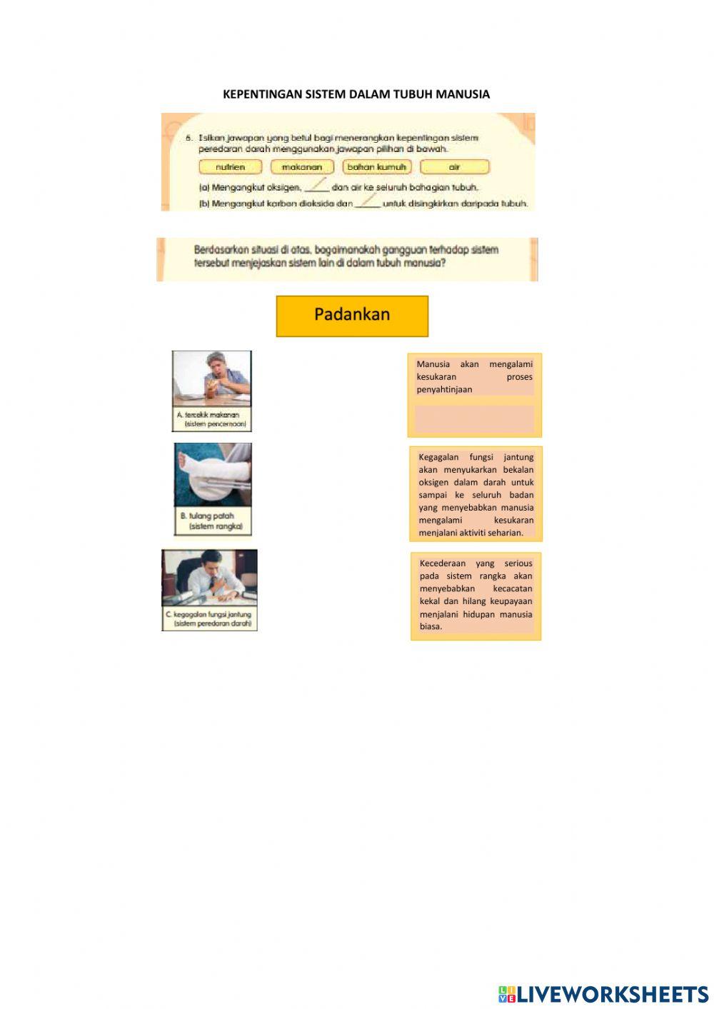 Kepentingan Sistem Tubuh Manusia