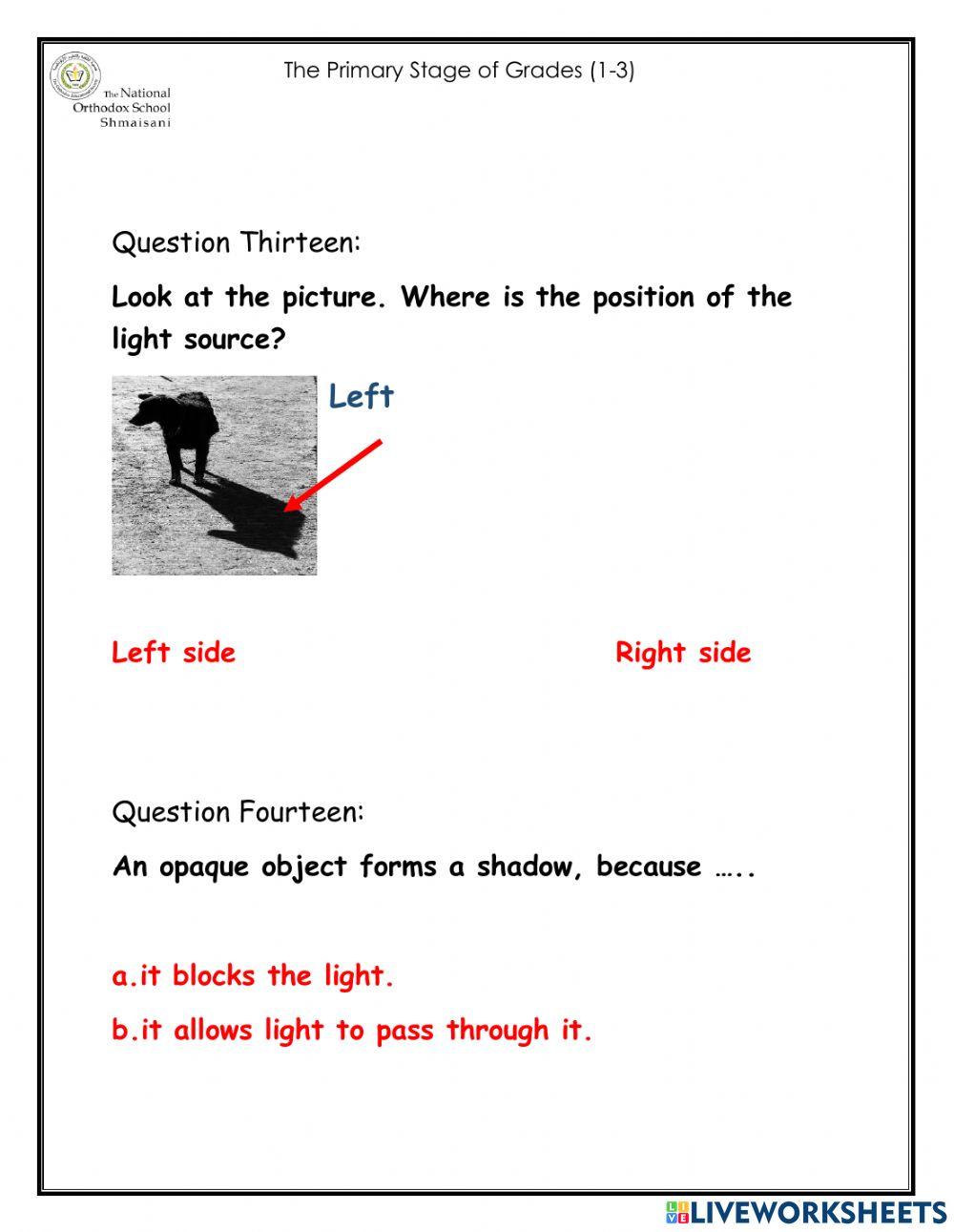Shadow Grade One Quiz