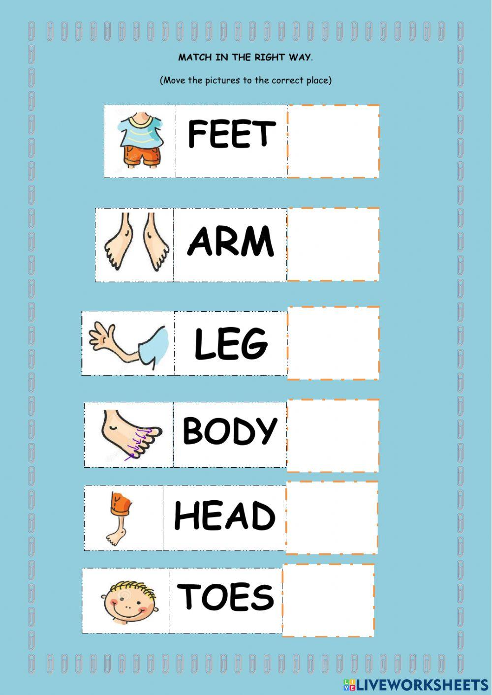 Parts of the body and adjectives