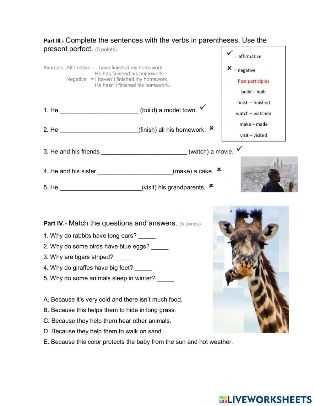 Trimester 3 grammar 4th