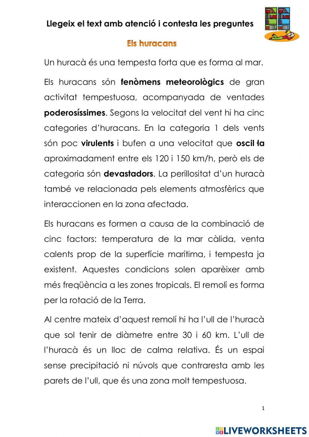 Comprensió text nº 8