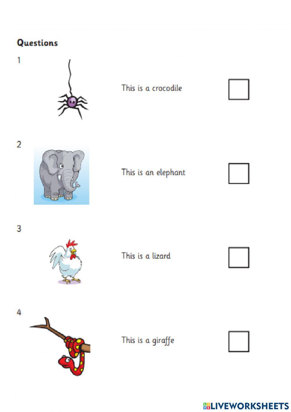 4th grade Extracurricular Activity