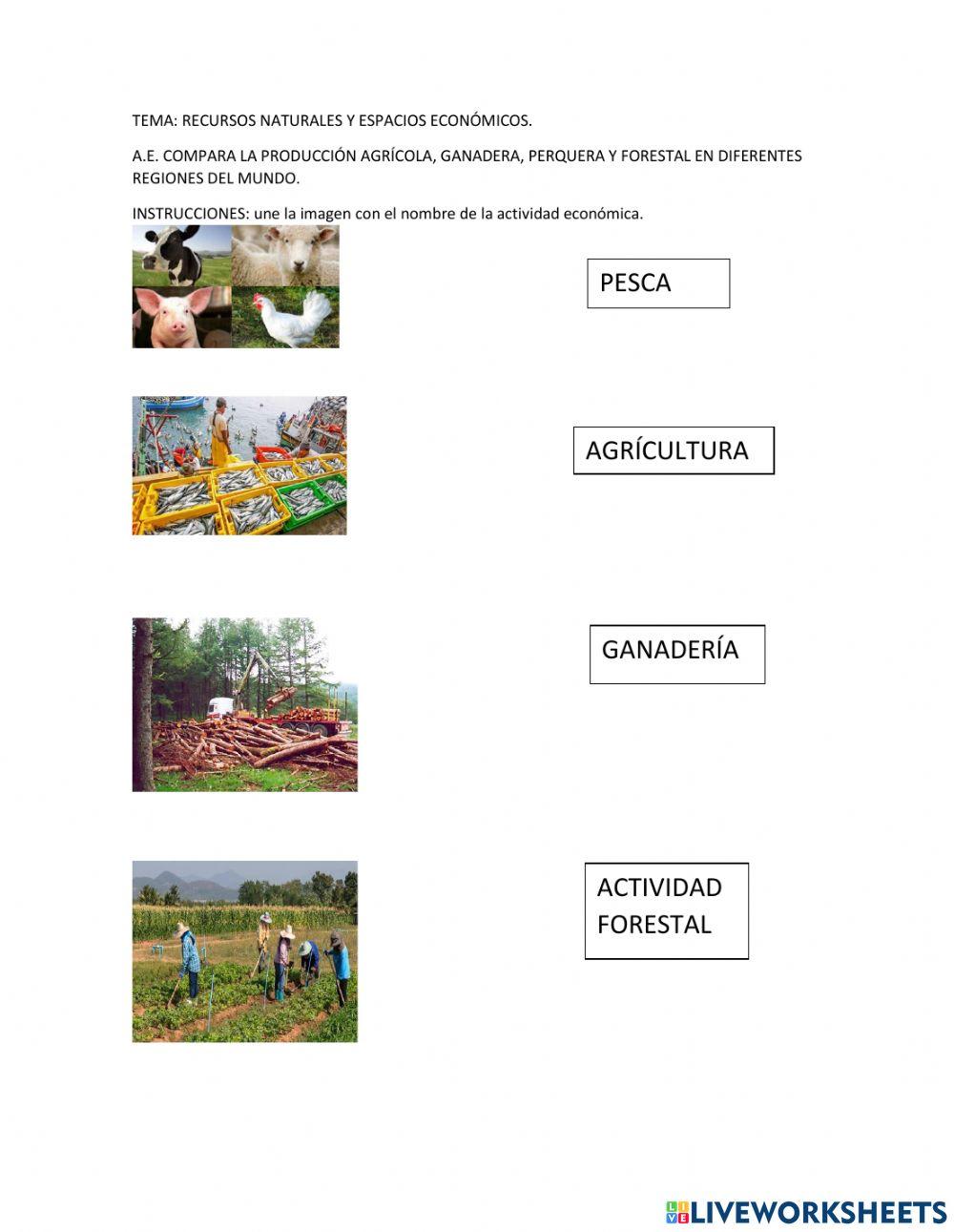 Actividades económicas primarias