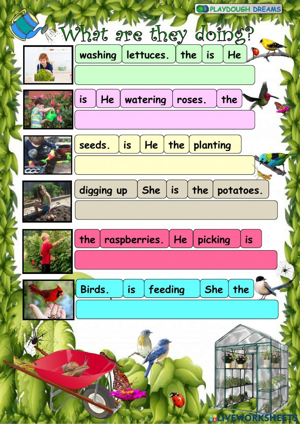 Put in order the sentences (Amazing Rooftops 4, Unit 6)