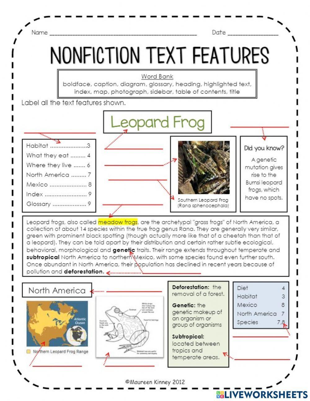 Text and Graphic Features