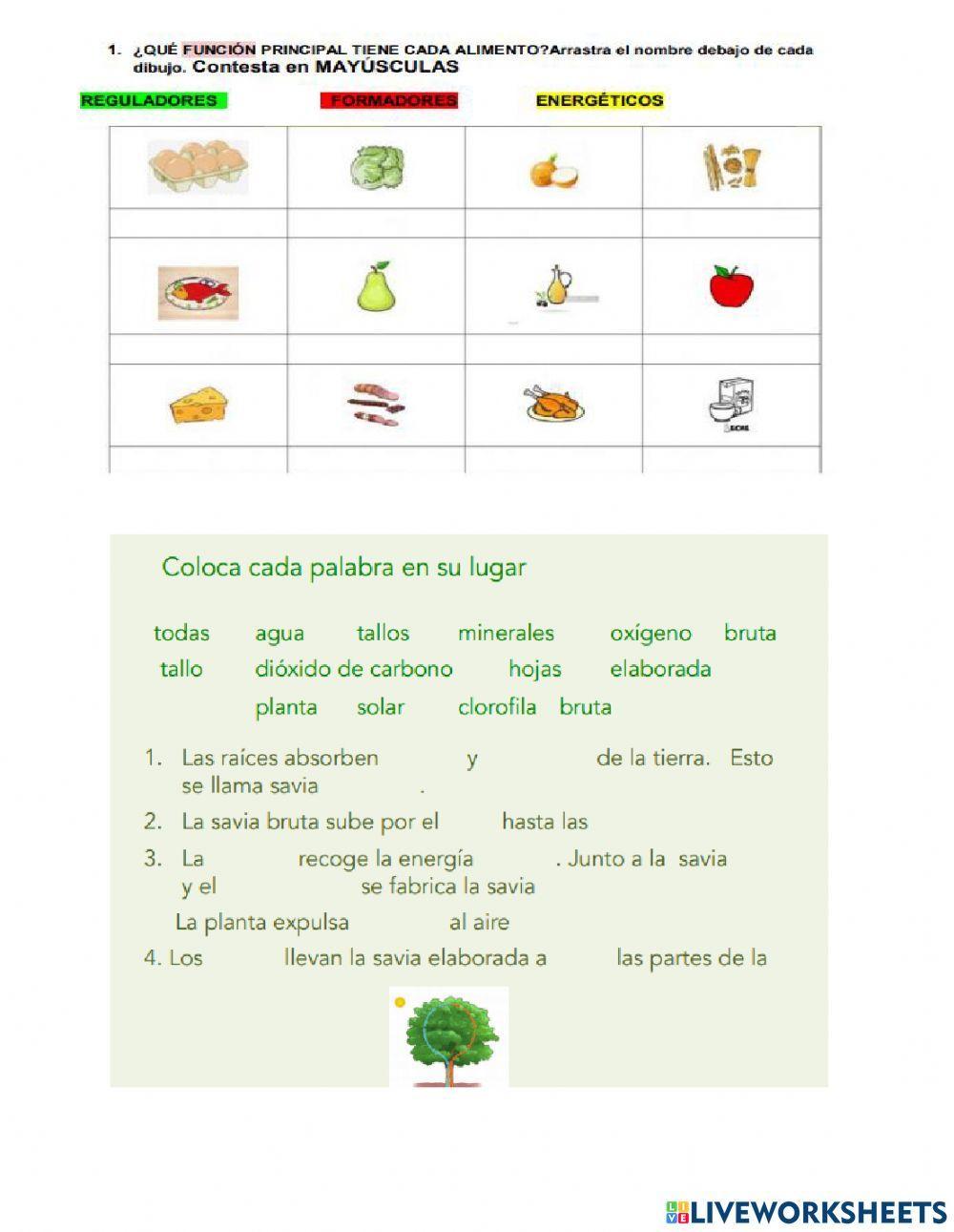 Valoración Ciencia mayo