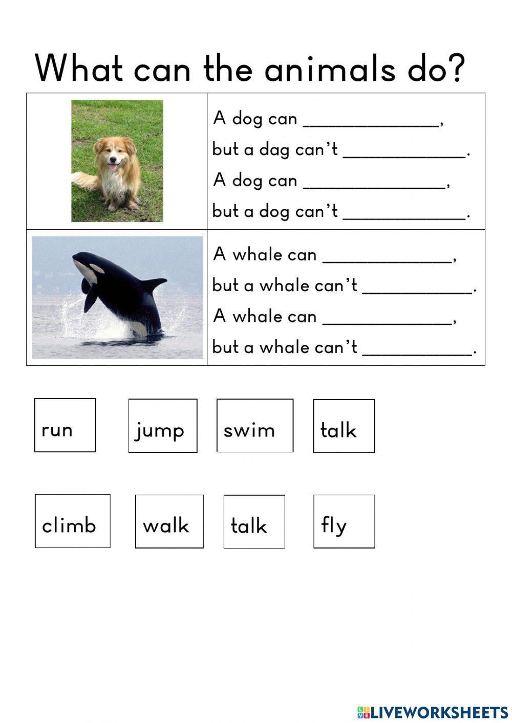 What can the animal do?