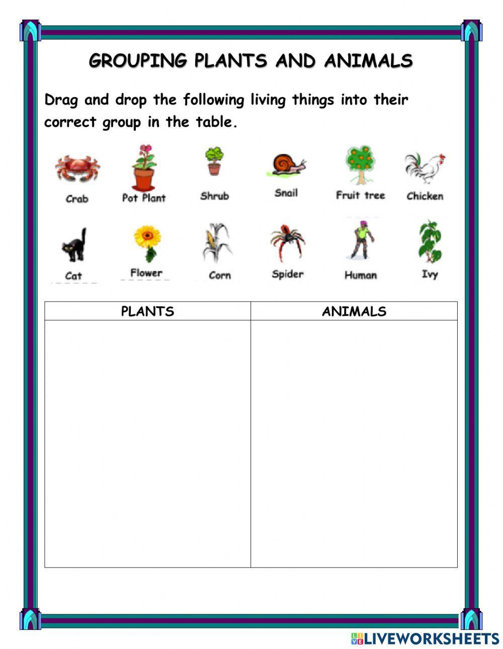 Living Things - Plants and Animals