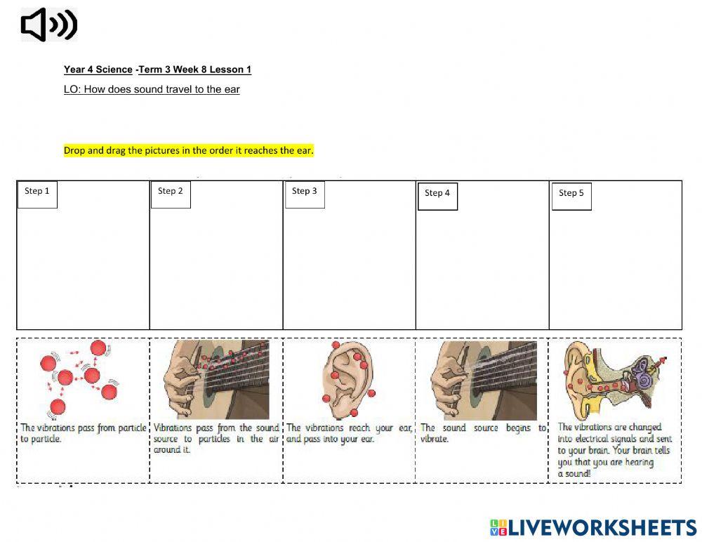DIS Science Term 3 Week 8 Lesson 1