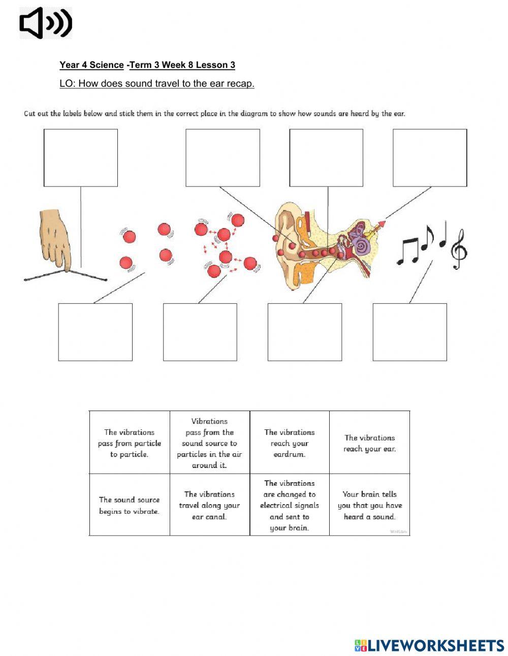 DIS Science Term 3 Week 8 Lesson 3 (independent)