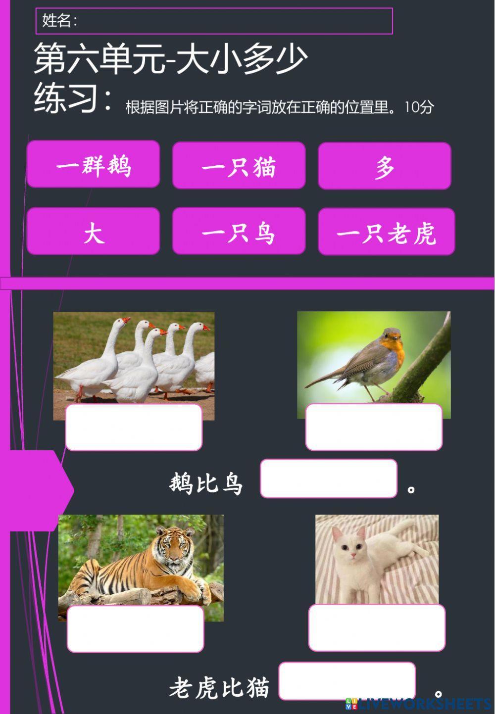 单元六：大小多少（练习）