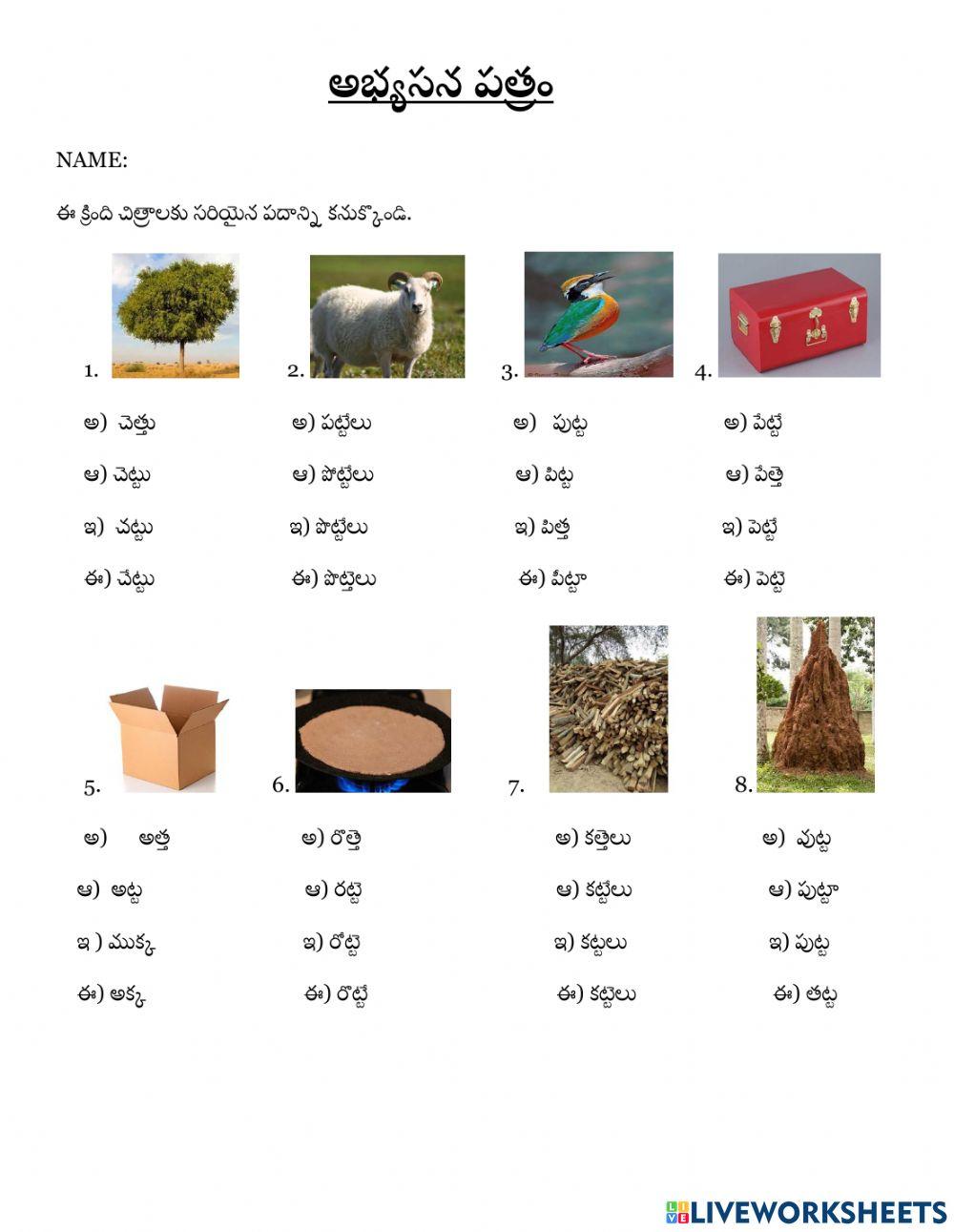 ట ఒత్తు పదాలు