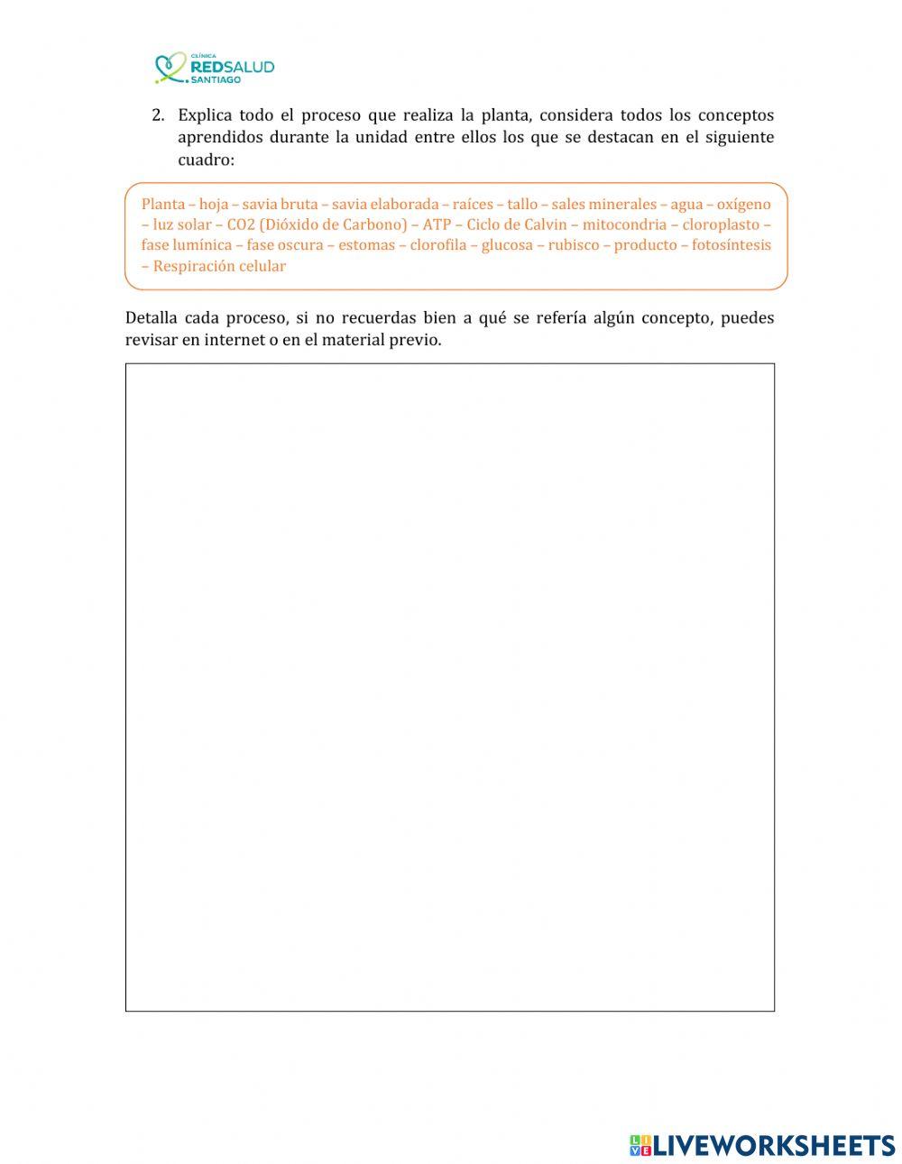 Fotosíntesis y Respiración Celular