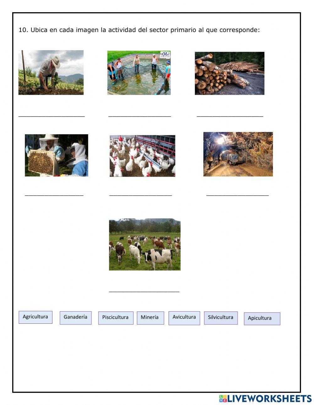 Evaluación Geografía