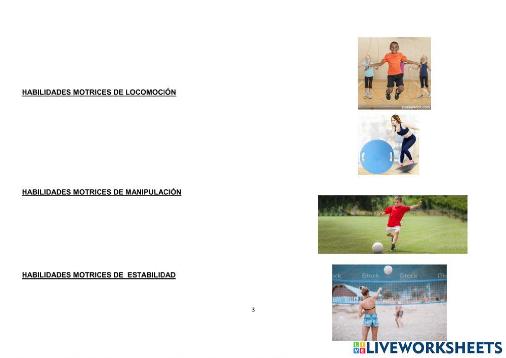 Evaluación sumativa