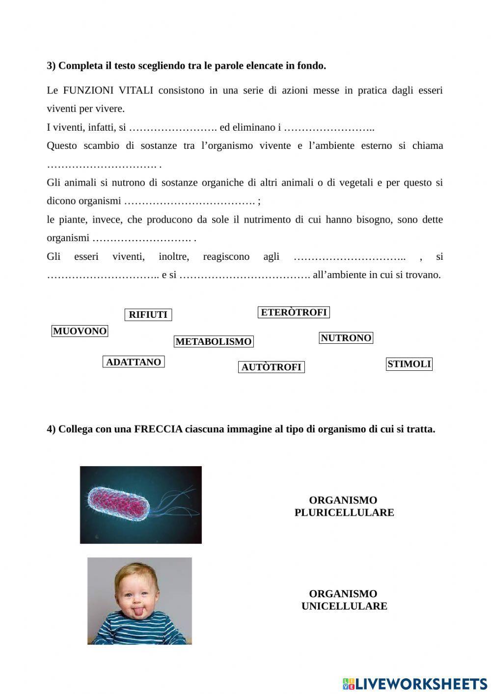 Gli esseri viventi e la cellula Gli esseri viventi e la cellula