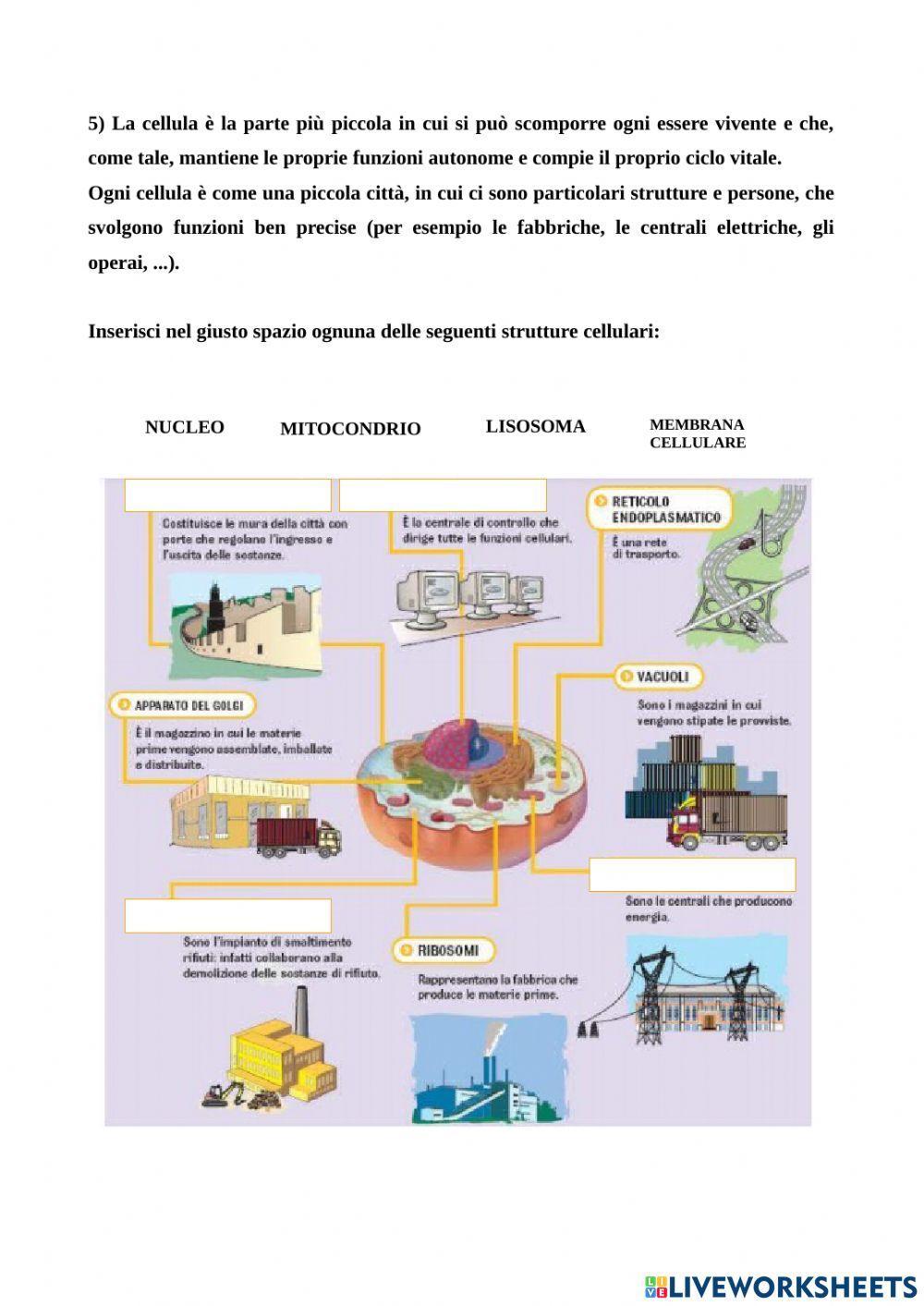 Gli esseri viventi e la cellula