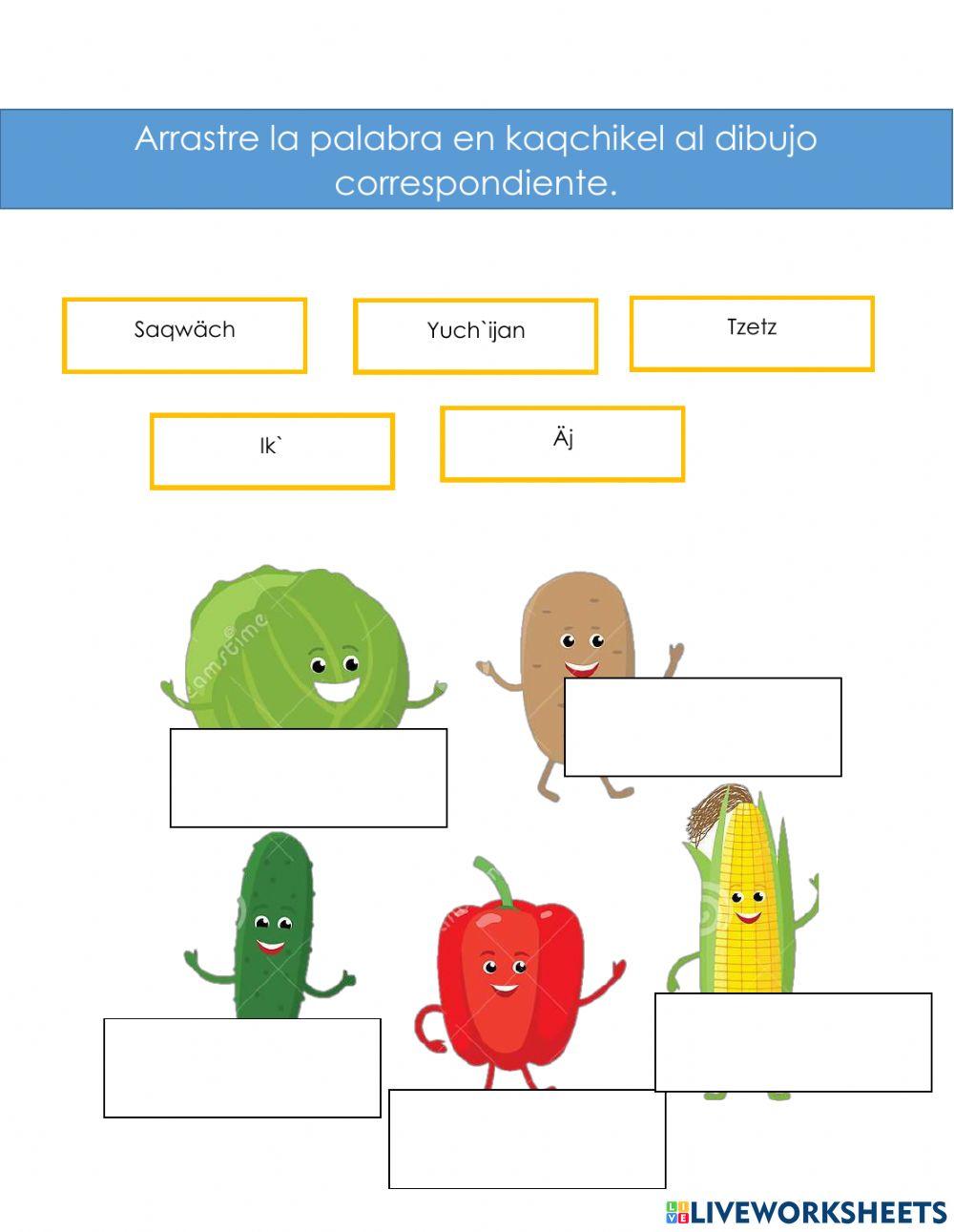 Ocupaciones, números y verduras