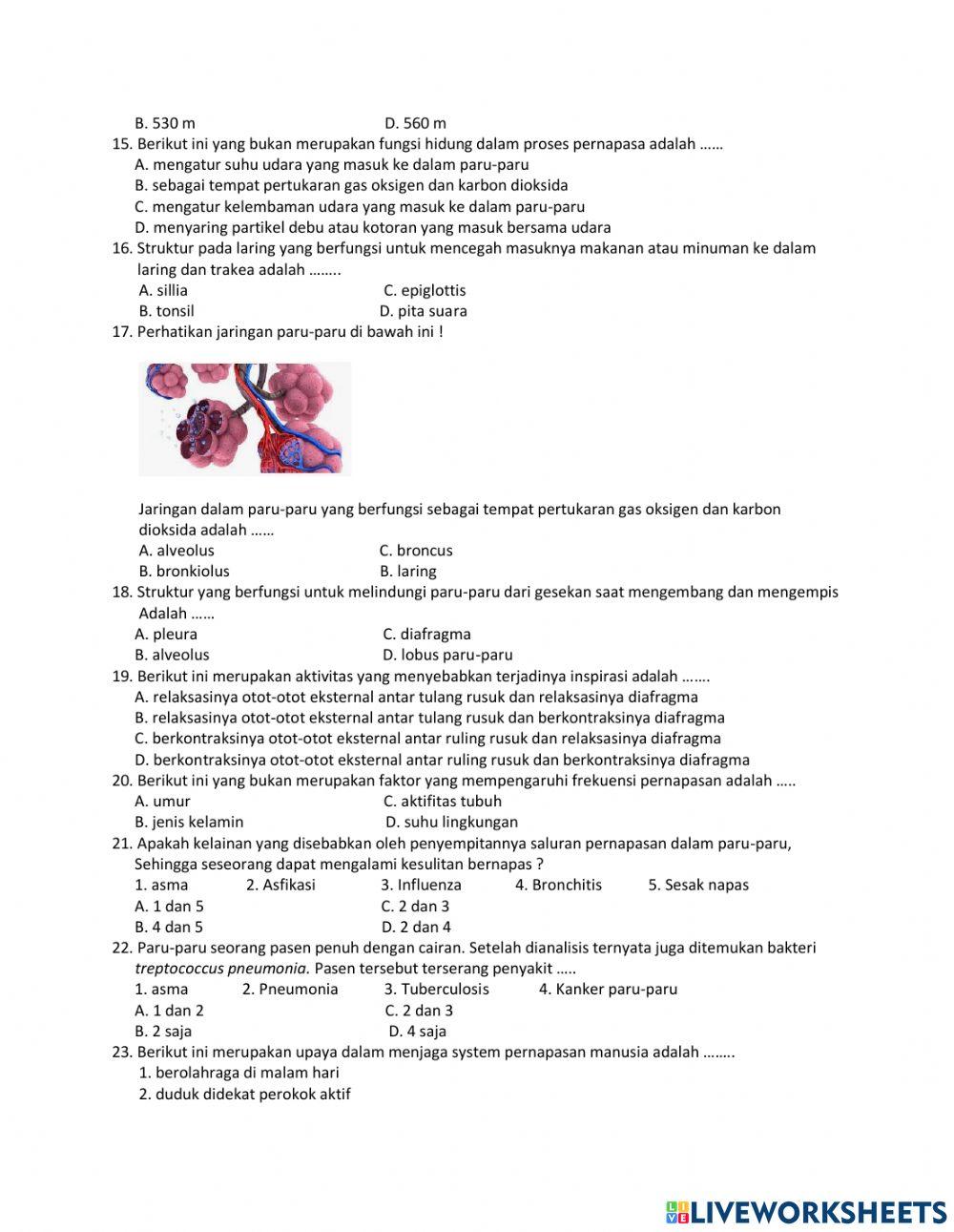Penilaian Kenaikan Kelas Tahun Pelajaran 2020-2021