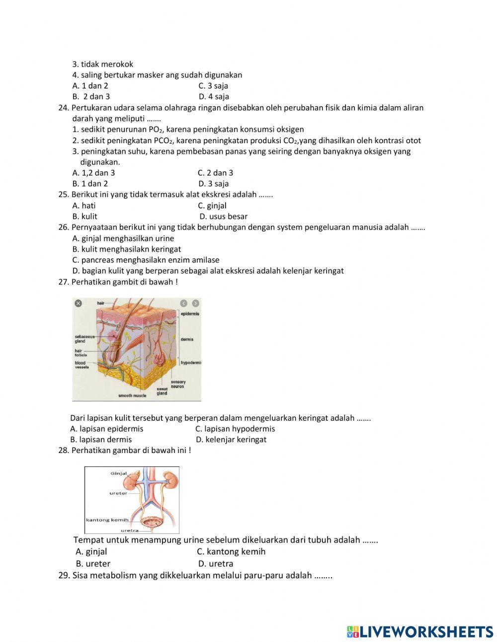Penilaian Kenaikan Kelas Tahun Pelajaran 2020-2021