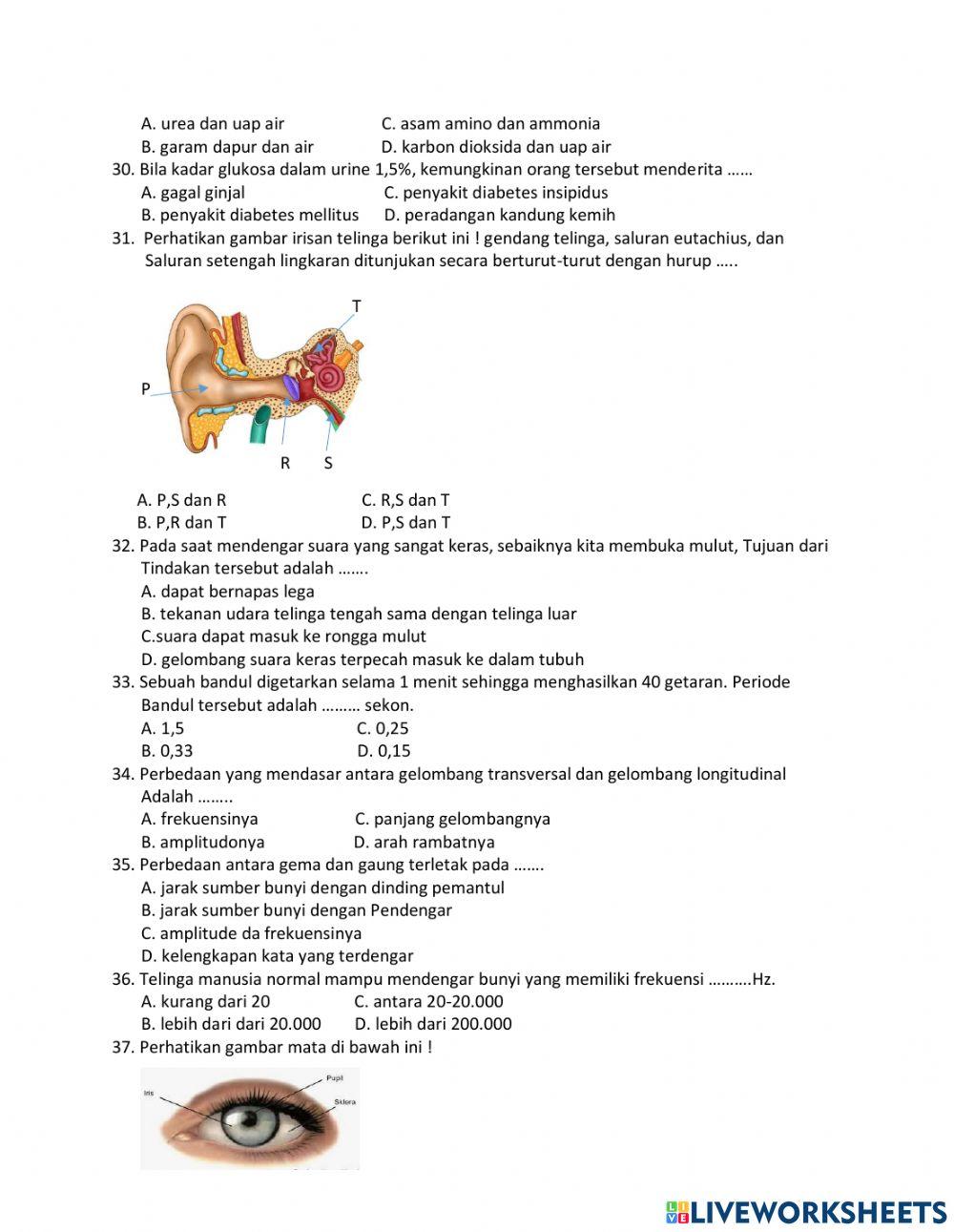 Penilaian Kenaikan Kelas Tahun Pelajaran 2020-2021