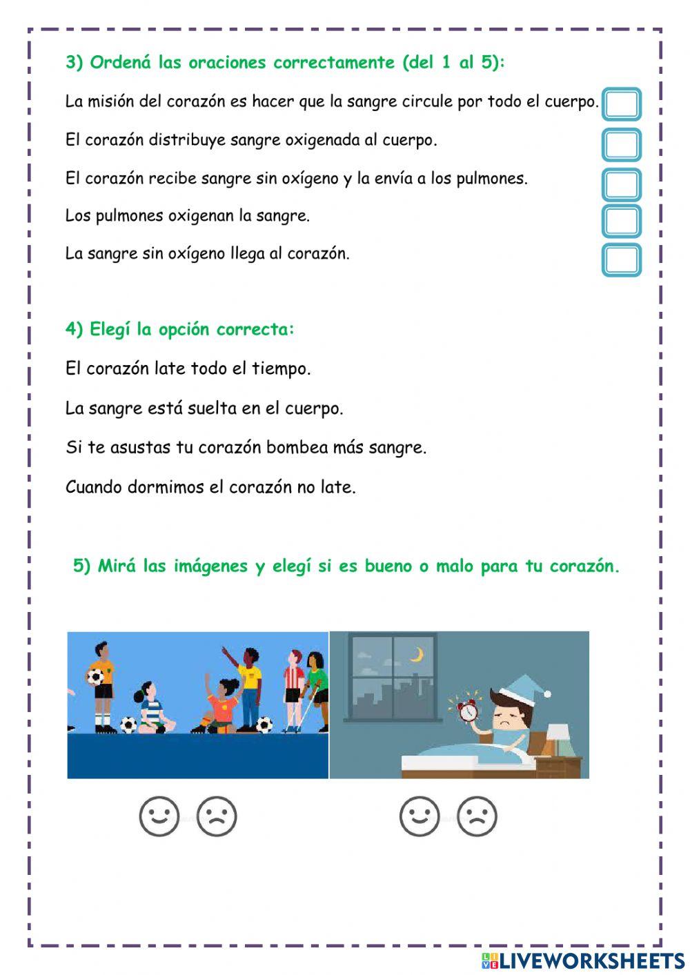 Sistema circulatorio