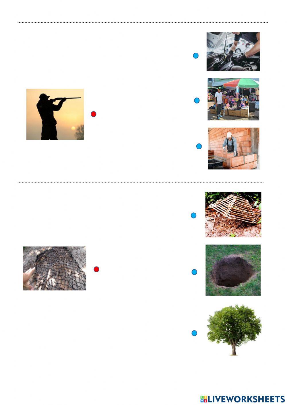 Silaba inicial e final